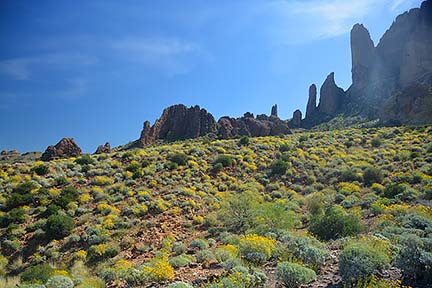 McDowell Mountain Regional Park, February 12, 2015